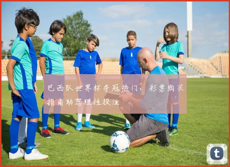 巴西队世界杯夺冠热门，彩票购买指南助您理性投注