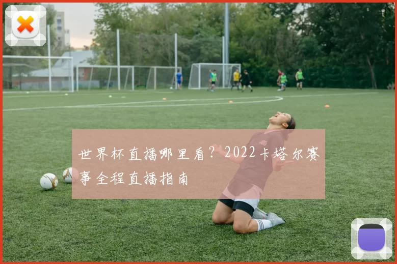 世界杯直播哪里看?2022卡塔尔赛事全程直播指南