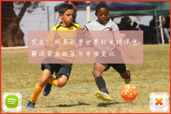 突发：网易彩票世界杯竞猜停售，解读背后政策与市场变化