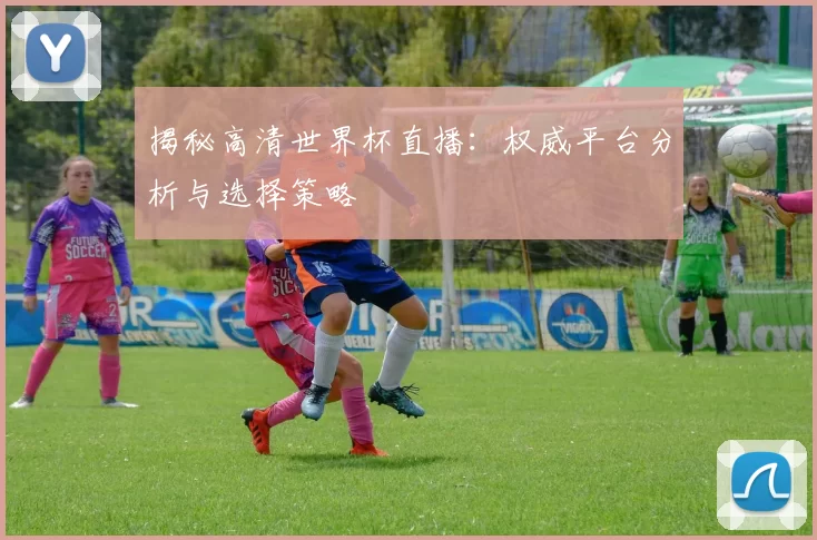 揭秘高清世界杯直播:权威平台分析与选择策略