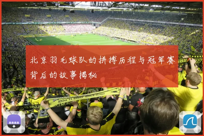 北京羽毛球队的拼搏历程与冠军赛背后的故事揭秘